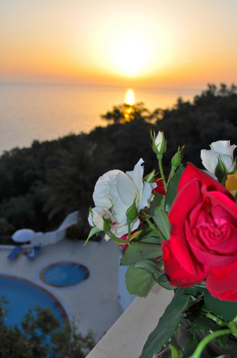 Sport & Beauty 1, Holiday Apartments Maria with pool - Agios Gordios Beach, Ionian Islands