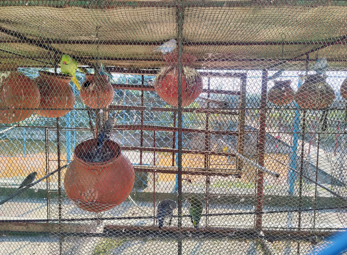 Miscellaneous 3, Jo'stel Hotel Sabita Inn & Park, Birbhum