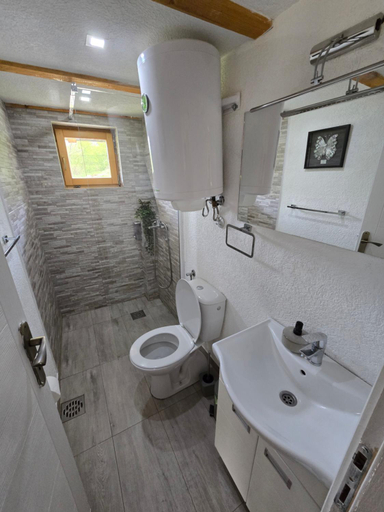 Bathroom, Brvnare Ljubojevic, Kraljevo