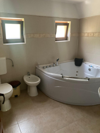 Bathroom, Vila Ianis Bran, Bran