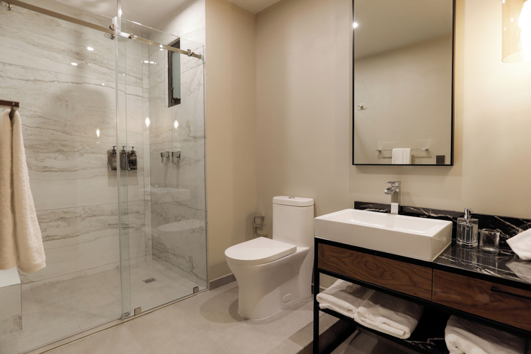 Bathroom 2, Punta Alameda, Mexico City