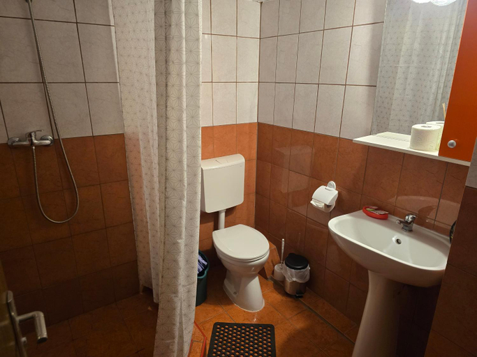 Bathroom 3, Casa Vivian, Baile Herculane