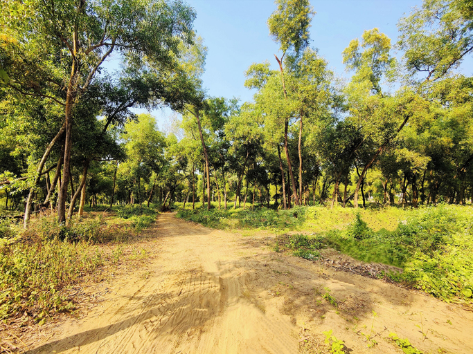 Miscellaneous 4, Jo'stel Hotel Sabita Inn & Park, Birbhum