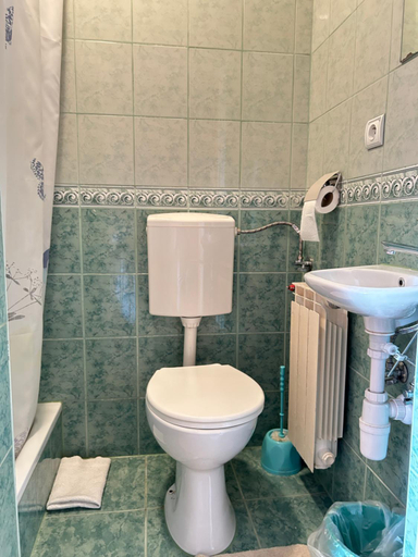 Bathroom 3, Apartamenty i pokoje Gosciniec na Rowni, Tatra