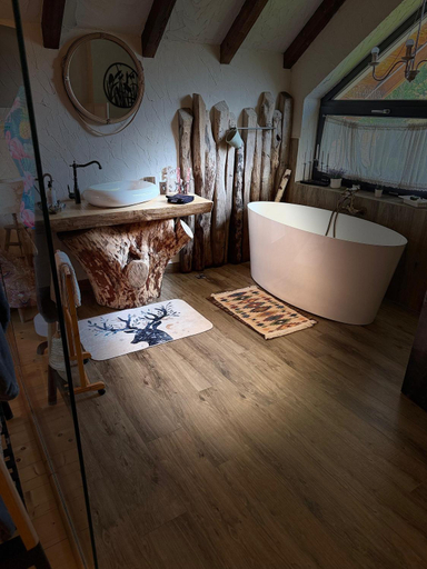 Bathroom 3, Cuibul Braneanului, Zarnesti