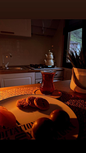 Food & Drinks 3, Karadeniz River Palace, Ardeşen