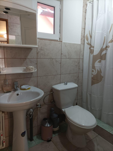 Bathroom, Casa Puiu, Slanic-moldova