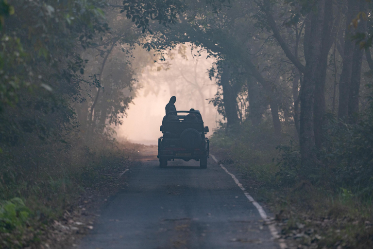 Safari 2, Unwild India Pilibhit Tiger Reserve, Pilibhit