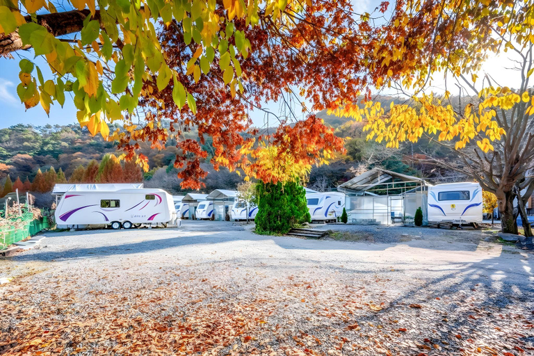 Others 3, Daejeon Dreaming Farmer Camping Caravan, Dong