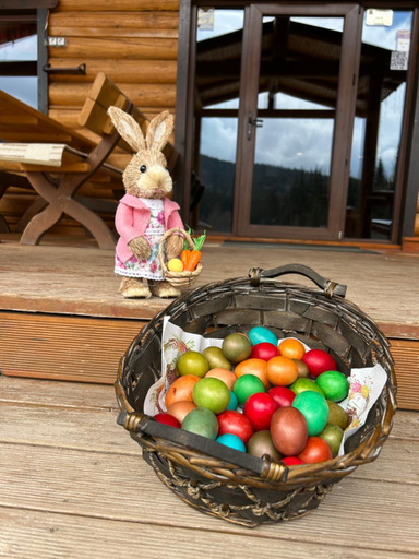 Food & Drinks 5, CLUBUL DACILOR, Covasna