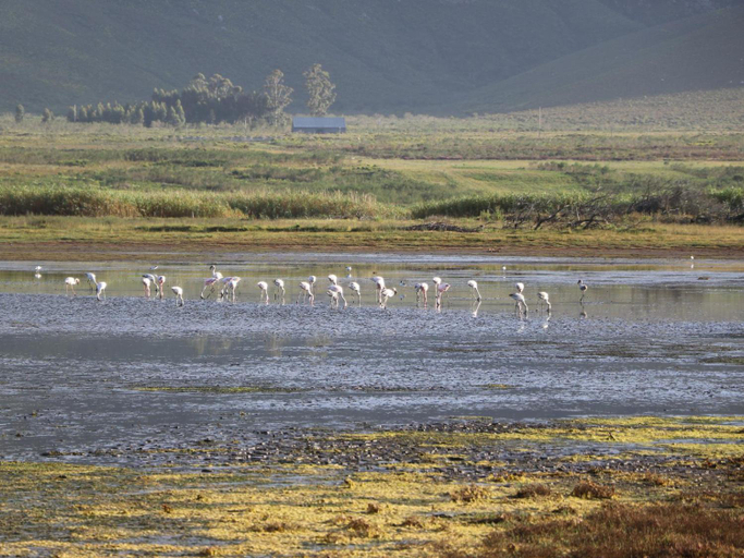 Others 5, Rivers End Farm Stanford - Cabins, Overberg