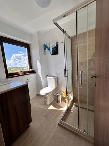 Bathroom 4, Pensiunea Ivoire, Porumbacu De Jos