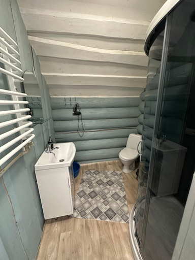 Bathroom, White House, Mizhhirs'kyi