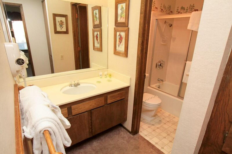 Bathroom, Discover 4, Mono