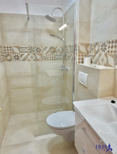 Bathroom 3, Pensiunea Iris, Baile Tusnad
