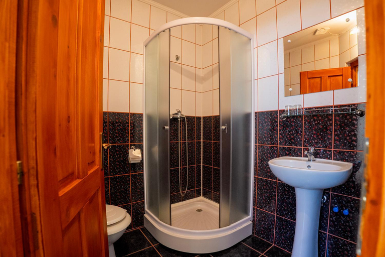 Bathroom 2, Casa Toma, Sovata