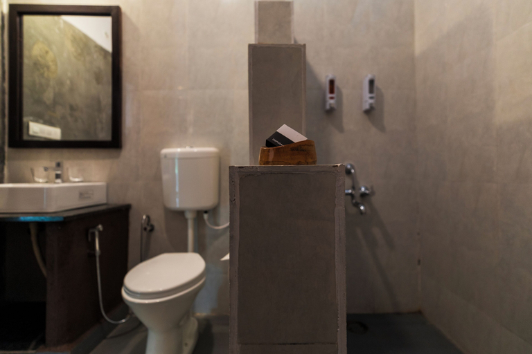 Bathroom, Hampi's Feathers Resort, Koppal