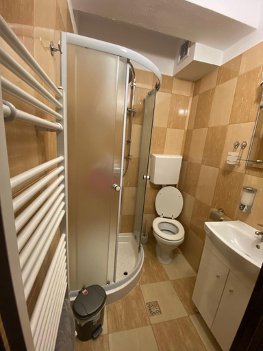 Bathroom, Casa Complex Borsa, Borsa
