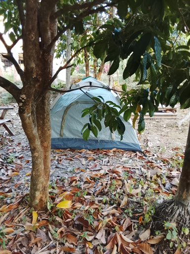 Others 5, Bangkaew Camping place bangalow, Nua Khlong