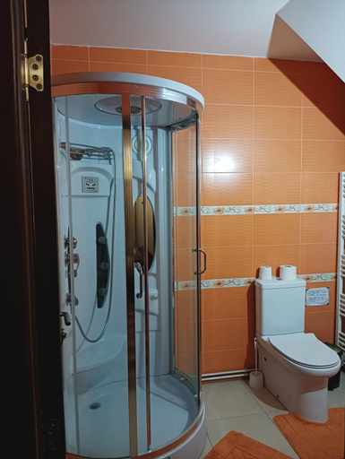Bathroom 2, Pensiunea IULIA, Tilisca