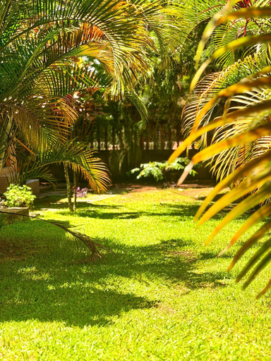 Others 5, Tgs Homestay Nest, Kampala