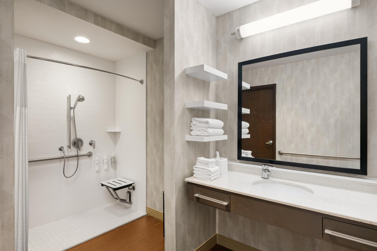 Bathroom 4, Hampton Inn & Suites Deland, Volusia