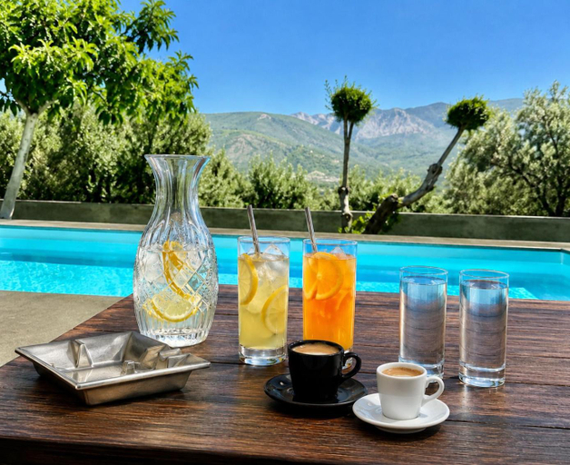 Food & Drinks 4, Penelope Dream Pool Villa, Ionian Islands
