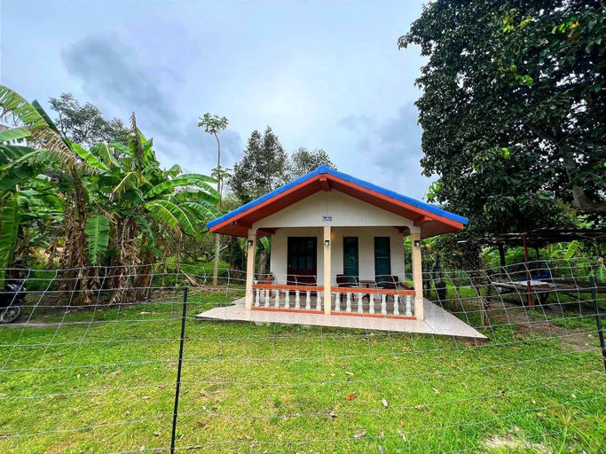 Primary image