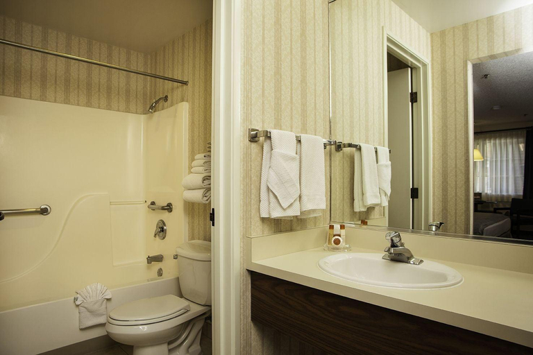 Bathroom 3, Carson Valley Motor Lodge & Suites, Douglas