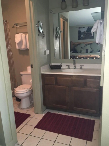 Bathroom 3, Mountainback at Mammoth, Mono
