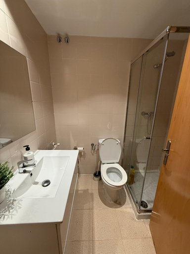 Bathroom 3, Guipuzcua, Navarra
