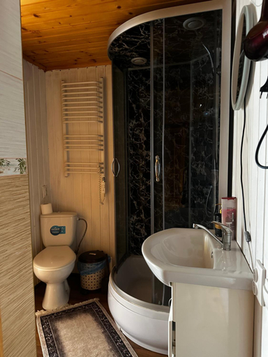 Bathroom 3, Sadyba u Anastasijky, Mizhhirs'kyi