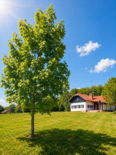 Others 5, HOSTEL VANECA, Puconci
