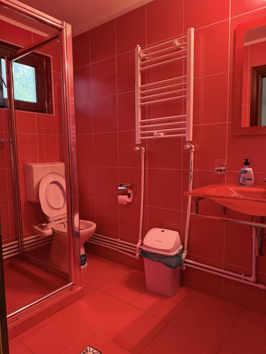 Bathroom 3, Casa Mario, Dragoslavele