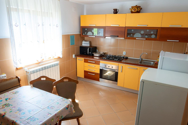 Others 5, Casa Ursuleasa, Vatra Moldovitei