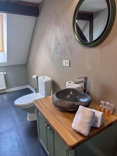 Bathroom 2, Pensiunea 7 Tei, Cisnadie