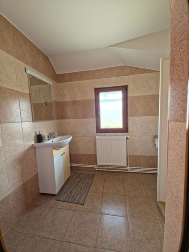 Bathroom, Popasul Galesean, Bradulet