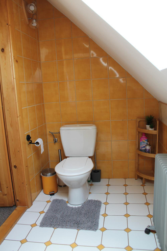Bathroom 3, Vilka Tkac, Liptovský Mikuláš
