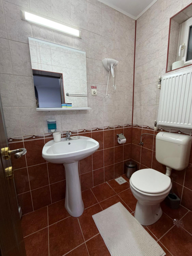 Bathroom, Pensiunea Zimbrul, Brasov