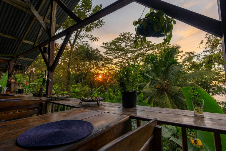 Food & Drinks 4, Pure Roots, Bocas del Toro