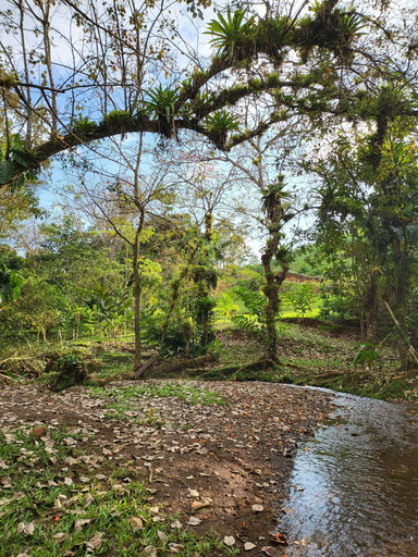 Others 4, Jaco-carara 3 Bdrm Surrounded by Rainforest With Private Pool, Turrubares