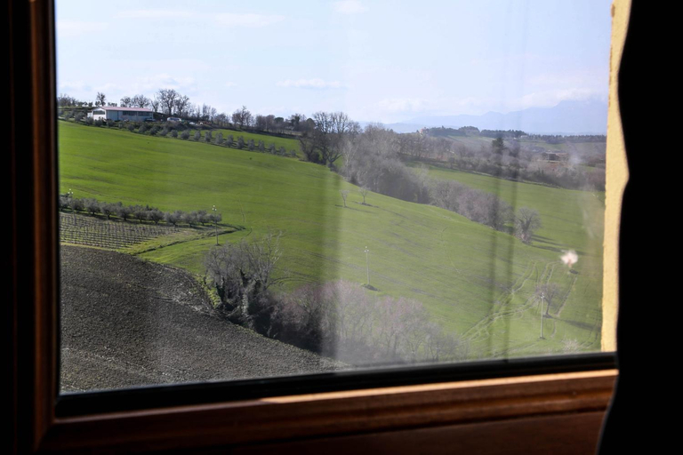 Others 5, Cerasus B&B, Ancona