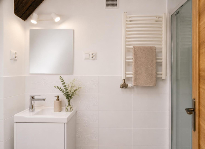 Bathroom 3, Wislna Old Town Apartments, Kraków City