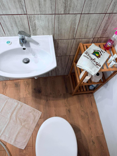 Bathroom, Noclegi Daglezja pod Gora Zar, Bielsko