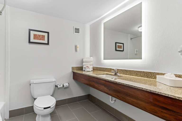 Bathroom 4, Comfort Suites Manassas Battlefield Park, Prince William