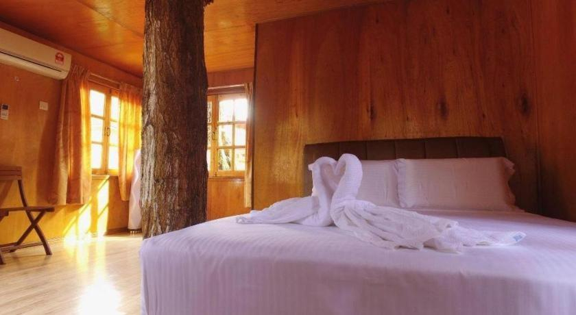 Bedroom 3, Borneo Tree House, Kota Kinabalu