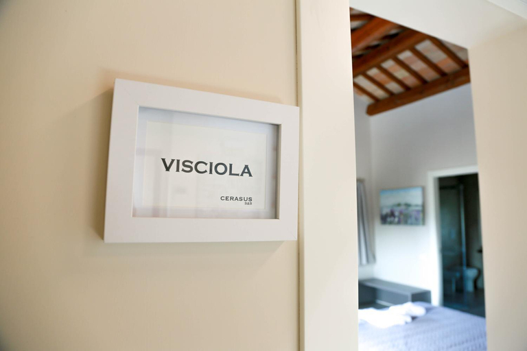 2, Cerasus B&B, Ancona
