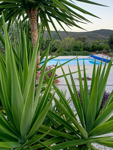Sport & Beauty 2, B&B Casa Flamenga, Loulé