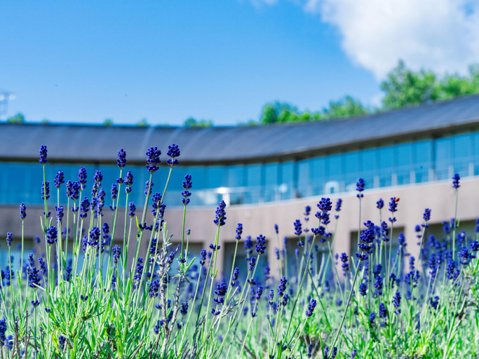 Sport & Beauty 2, FURANO HOTEL, Furano