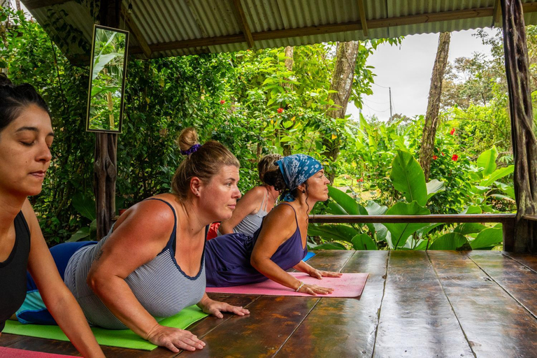 Sport & Beauty 5, Pure Roots, Bocas del Toro